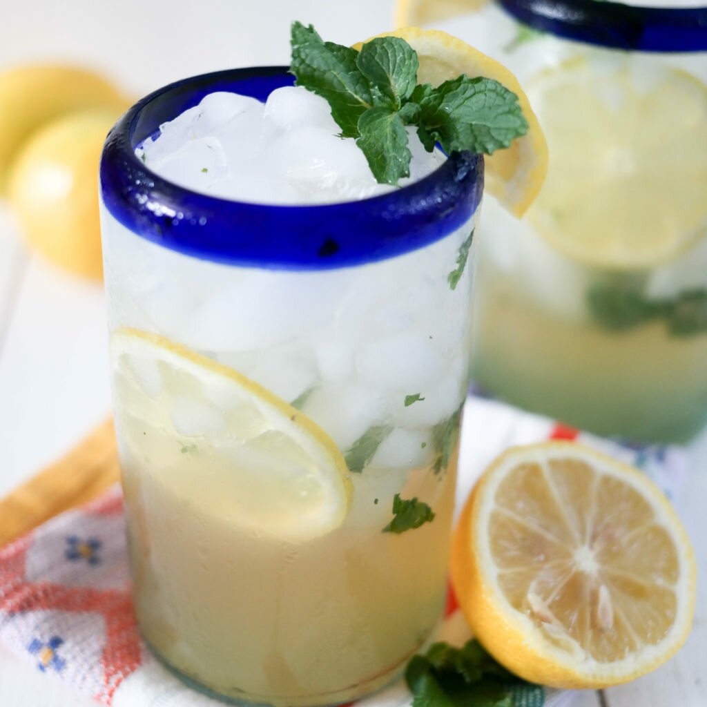 Homemade Ginger Mint Soda